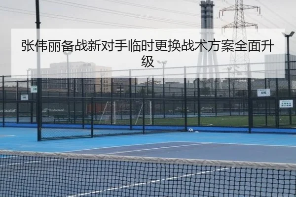 张伟丽备战新对手临时更换战术方案全面升级